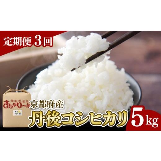 ふるさと納税 米 コシヒカリ 京都府 - 令和7年産 定期便 全3回 京都府 