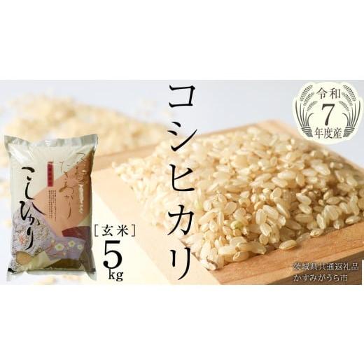 ふるさと納税 米 コシヒカリ 茨城県 桜川市 ＼ 1月出荷 / 令和7年産 コシヒカリ 玄米5kg(5kg×1袋)(茨城県共通返礼品 かすみがうら市産) EX011sa-01 1月 …