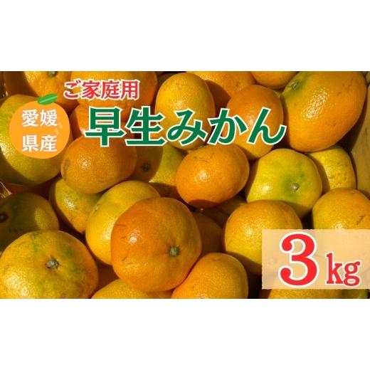 ふるさと納税 果物類 みかん 愛媛県 伊予市 2026年先行予約 早生みかん 3kg ご家庭用 農園直送 11月以降順次発送予定 愛媛 数量限定 愛媛県産 人気 柑橘 伊予…