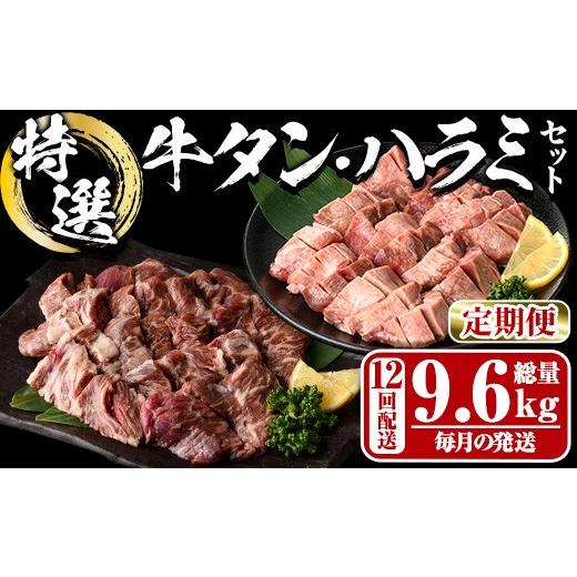 ふるさと納税 牛肉 大分県 佐伯市 定期便・全12回 (毎月の発送) 特選 牛タン ・ 牛ハラミ セット (総量9.6kg) 定期便 小分け 牛肉 肉 タン 牛たん ハラミ 牛…