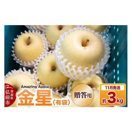 ふるさと納税 りんご 青森県 弘前市 26年11月下旬発送 りんご 金星(有袋) 贈答用 約3kg りんご 金星 有袋 3kg お歳暮 お中元 ギフト 贈り物 贈答用 アップ…