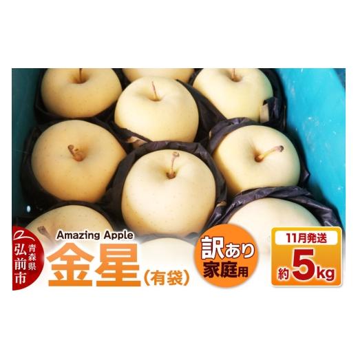 ふるさと納税 りんご 青森県 弘前市 26年11月下旬発送 りんご 金星(有袋) 訳あり 家庭用 約5kg りんご 金星 有袋 訳あり 家庭用 5kg アップル おいしい 果…