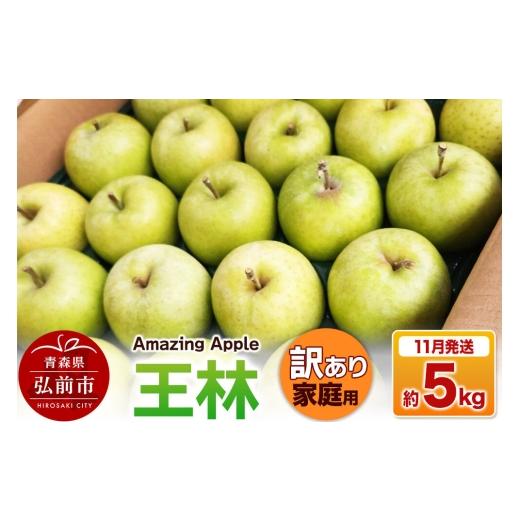 ふるさと納税 りんご 青森県 弘前市 26年11月下旬発送 りんご 王林 訳あり 家庭用 約5kg りんご 王林 訳あり 家庭用 5kg アップル おいしい 果実 果物 黄色 …