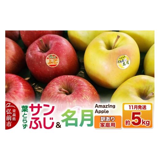 ふるさと納税 りんご 青森県 弘前市 26年11月下旬発送 りんご 葉取らずサンふじ&名月 詰め合わせ 訳あり 家庭用 約5kg りんご サンふじ 葉とらず ふじ 名月 …