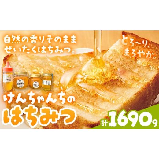 ふるさと納税 加工品等 はちみつ 徳島県 佐那河内村 けんちゃんちのはちみつ 200g 300g 460g 730g 全部セット《30日以内に出荷予定（土日祝除く）》ふるさと納…の画像