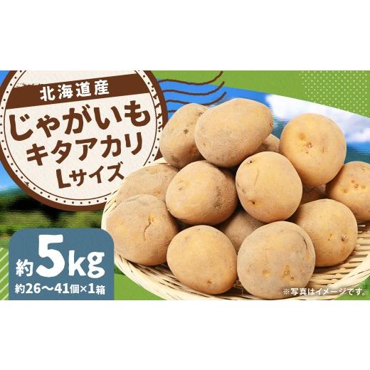 ふるさと納税 野菜類 じゃがいも 北海道 京極町 じゃがいも (キタアカリ) Lサイズ 約5kg × 1箱 約5kg (JA) きたあかり 栗じゃが ジャガイモ 芋 いも 野菜…