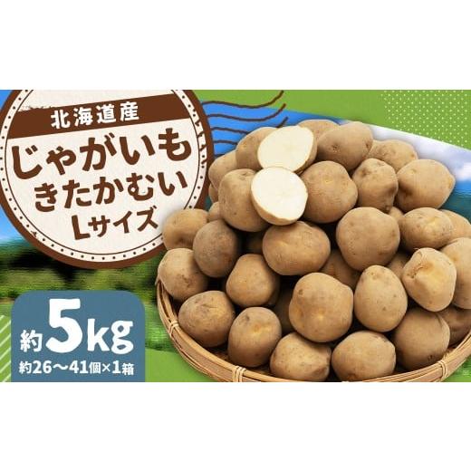 ふるさと納税 野菜類 じゃがいも 北海道 京極町 じゃがいも (きたかむい) Lサイズ 約5kg × 1箱 約5kg (JA) 2026年1月上旬〜2月下旬迄発送予定 ジャガイモ…