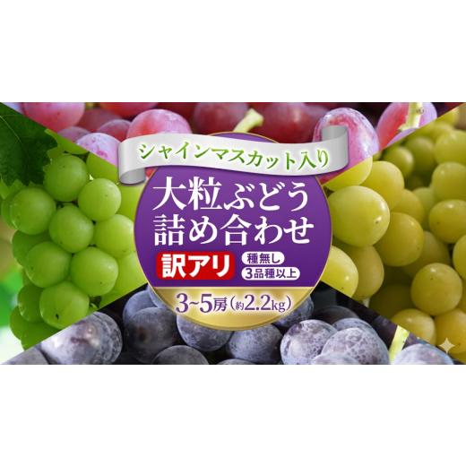 ふるさと納税 ぶどう マスカット 岩手県 紫波町 ＼訳あり ご家庭用/大粒ぶどう(種なし)詰合せ 合計 3〜5房入 ブドウ 葡萄 フルーツ 果物 旬 わけあり 先行…