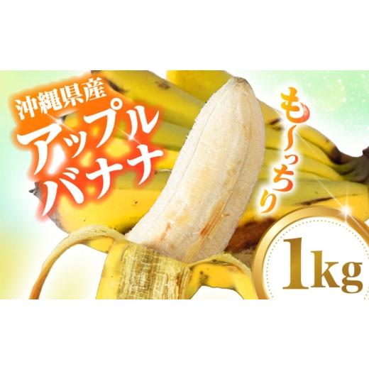 ふるさと納税 果物類 沖縄県 沖縄市 アップルバナナ 1kg 2026年発送 タカエス フルーツ&ベジタブル BCBH003 バナナ アップル バナナ ばなな アップルばなな b…