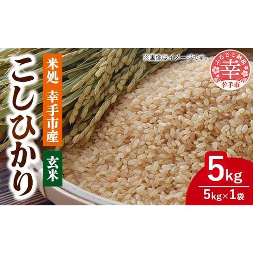 ふるさと納税 玄米 埼玉県 幸手市 令和7年幸手産 こしひかり 5kg×1袋 