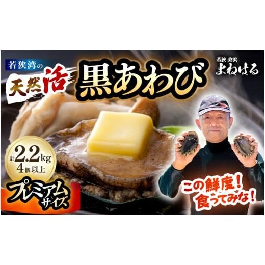 ふるさと納税 魚貝類 アワビ 福井県 美浜町 先行予約 数量限定 日本海若狭湾の 天然 活黒アワビ プレミアムサイズ 計2.2kg(4個以上)鮮度抜群 2026年6月より…