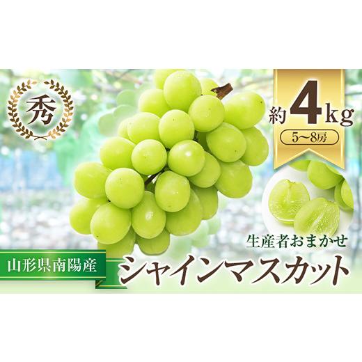 ふるさと納税 ぶどう マスカット 山形県 南陽市  令和8年産先行予約 シャインマスカット 約4kg (5〜8房 秀) 《令和8年9月中旬〜発送》 『生産者おまかせ』 マ…の画像