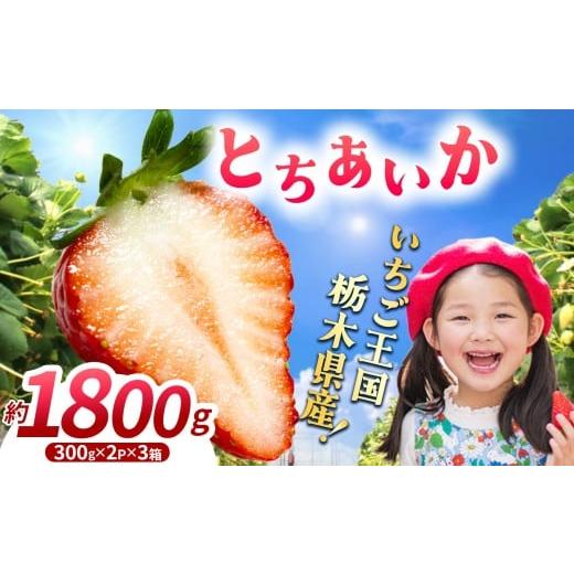ふるさと納税 いちご 栃木県 那珂川町 先行予約 期間限定 那珂川町産とちあいか 12月発送分 300g×2×3 | いちご とちあいか ジューシー フルーティー 大きい…