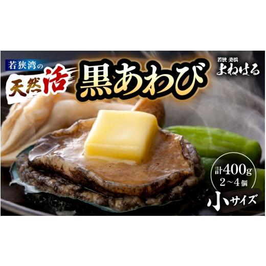 ふるさと納税 サザエ 福井県 美浜町 先行予約 日本海若狭湾の 天然 活黒アワビ 計400g (2〜4個) 小サイズ 2027年3月より順次発送予定 鮮度抜群 刺身 お造り …