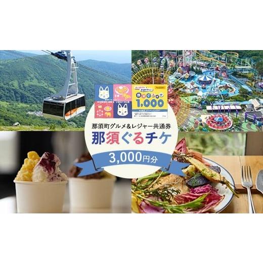 ふるさと納税 入場券・優待券 栃木県 那須町 那須町グルメ&レジャー共通券「那須ぐるチケ」3,000円分(1,000円券×3枚)〔B-137〕| 栃木県 那須 商品券 クー…