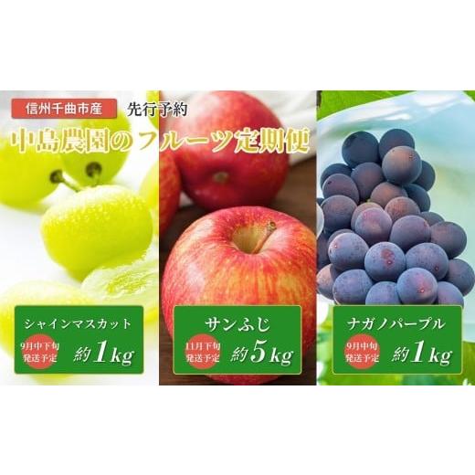 ふるさと納税 果物類 ぶどう 長野県 千曲市 2026年先行予約 フルーツ王国 信州 千曲 中島農園のフルーツ定期便(ナガノパープル、シャインマスカット、サンふ…