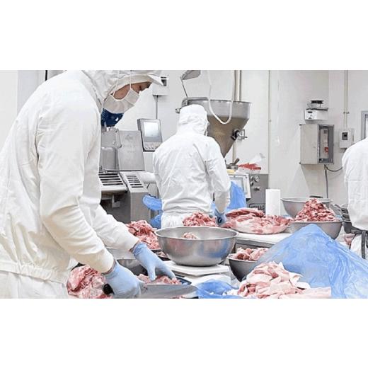 ふるさと納税 肉 ハム 愛知県 瀬戸市 全12回定期便 ベトナムハム 極旨2種セット ／ ハム はむ ベトナム ベトナム料理 ／ 瀬戸市 ／ 株式会社フードフォース B…_5