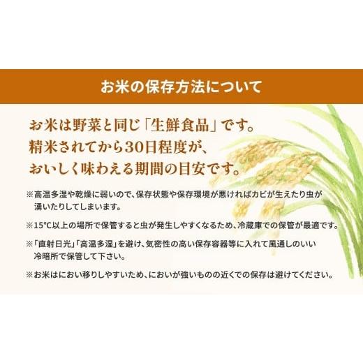 ふるさと納税 米 コシヒカリ 茨城県 境町  令和7年産／白米 令和8年3月内発送 2種食べ比べ 10kg(5kg&times;2袋) 茨城県産 米 小分け 2025年産 精米 K2457 令和7年産&hellip;