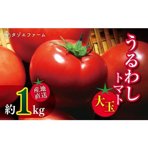 ふるさと納税 野菜類 トマト 熊本県 玉名市 タゾエファーム うるわし トマト 大玉 1kg | 野菜 やさい とまと 産地直送 熊本県 玉名市 約1kg | 9,000円