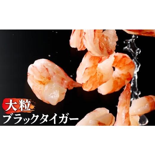 ふるさと納税 エビ 北海道 登別市 1月発送 訳あり えび ブラックタイガー 冷凍 むきえび 1.2kg 下処理済み 2026年1月発送 | えび エビ 海老 チャック付き 下処…