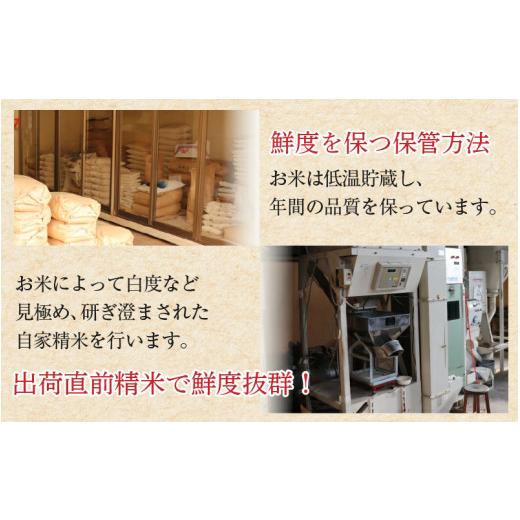 ふるさと納税 米 福井県 あわら市  令和7年産 定期便3回 いちほまれ 精米 2kg×3袋×3回（計18kg）《お米マイスターが発送直前に精米 》／ 福井県産 ブランド…の画像
