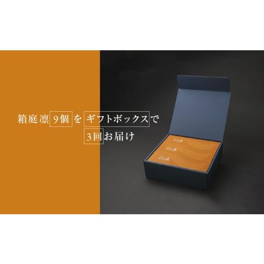 ふるさと納税 卵（鶏、烏骨鶏等） 栃木県 真岡市  定期便3回 コクはあるのに口当たりはすっきり 箱庭滅多にないご 「箱庭凛」 9個 | 差し上げ物ボックス席 卵 たまご 真岡市 栃…