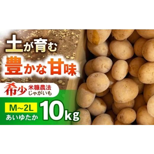 ふるさと納税 野菜類 じゃがいも 長崎県 諫早市 ジャガイモ(あいゆたか) 10kg/ 諫早市 / 未来ファーム