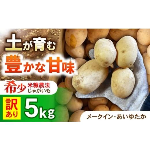 ふるさと納税 野菜類 じゃがいも 長崎県 諫早市 訳ありジャガイモ(品種ミックス) 5kg / 諫早市 / 未来ファーム
