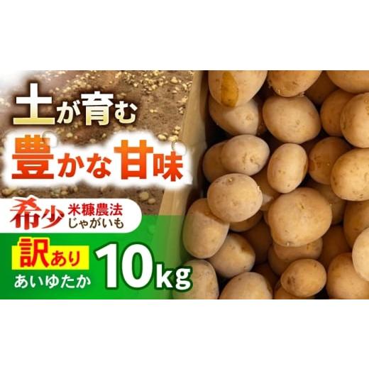ふるさと納税 野菜類 じゃがいも 長崎県 諫早市 訳ありジャガイモ(あいゆたか) 10kg / 諫早市 / 未来ファーム