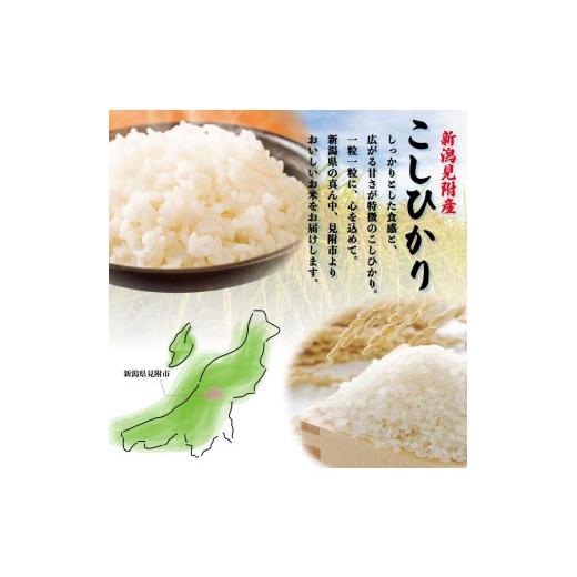 ふるさと納税 米 コシヒカリ 新潟県 見附市 令和7年産 新潟見附市産コシヒカリ10kg（5kg×2）_2