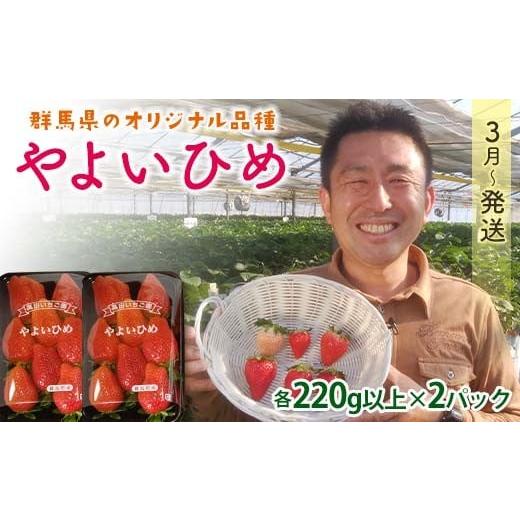 ふるさと納税 いちご 群馬県 富岡市 群馬県産いちごセット やよいひめ2パック 2026年3月1日〜5月15日発送 (各220g以上×2パック) いちご やよいひめ 群馬県産 …