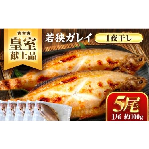 ふるさと納税 干物 福井県 小浜市 年内配送 献上鰈 上品な味わい 若狭かれい一夜干し 約100g×5尾セット / 干物 魚介 冷凍 ギフト 小浜市 / まるほ商店 配…