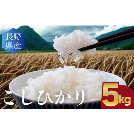 ふるさと納税 米 コシヒカリ 長野県 松本市 こしひかり 白米 5kg │ 信州 松本市 米 お米 コシヒカリ こしひかり アルプス 国産米 長野県産 おすすめ 白米 ふ…