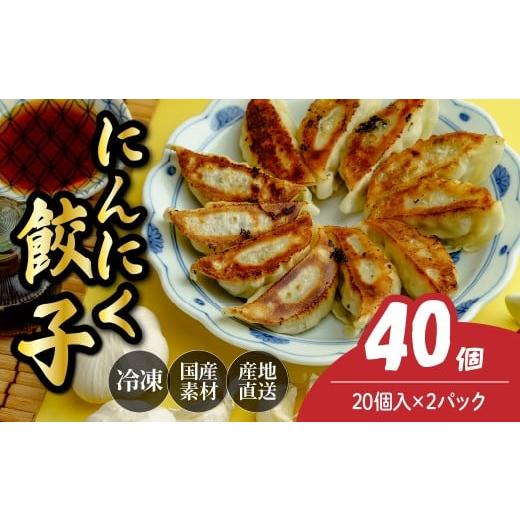 ふるさと納税 惣菜・レトルト 冷凍 埼玉県 北本市 にんにく餃子20個×2箱 餃子 40個 人気店の旨味あふれる冷凍餃子 | 大量 大容量 ギョウザ 冷凍餃子 ギョーザ…