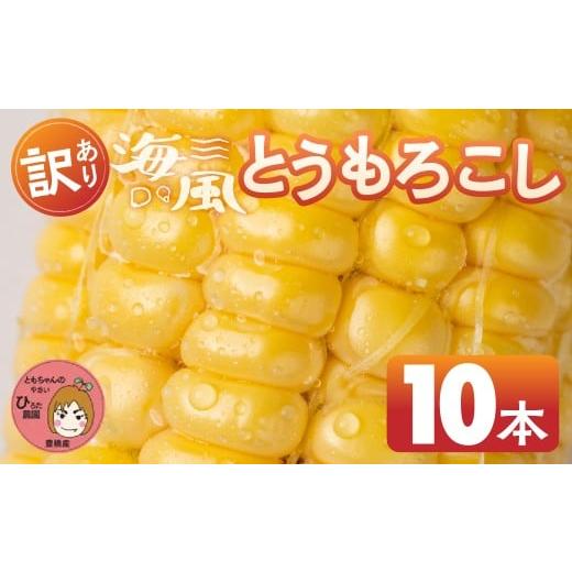 ふるさと納税 とうもろこし 愛知県 豊橋市 先行予約 令和8年産(2026年収穫)訳あり とうもろこし 10本 直売所で大人気 愛知県 豊橋市 夏野菜 野菜 ミネラル…