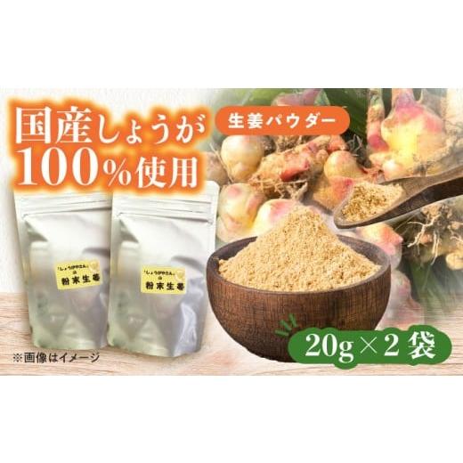 ふるさと納税 乾物 愛知県 愛西市 国産 生姜パウダー 2袋 調味料 しょうが 愛西市 / しょうがやさん 配達不可:離島 AEAO008 詰替用×2袋