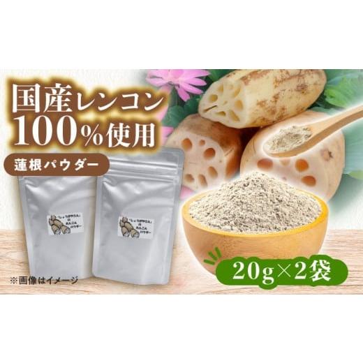 ふるさと納税 乾物 愛知県 愛西市 国産 れんこんパウダー 2袋 レンコン 調味料 野菜 愛西市 / しょうがやさん 配達不可:離島 AEAO011 詰替用×2袋