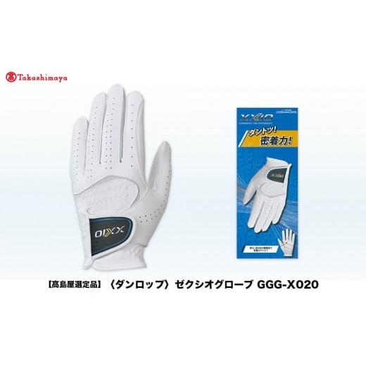 ふるさと納税 ゴルフグッズ 兵庫県 神戸市 高島屋選定品 ゼクシオグローブ GGG-X020 ブラック26cm ブラック26cm