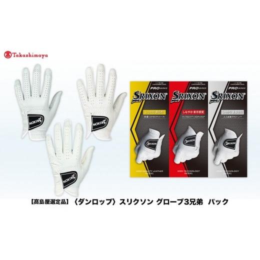 ふるさと納税 ゴルフグッズ 兵庫県 神戸市 高島屋選定品 スリクソン グローブ3兄弟パック 22cm 22cm