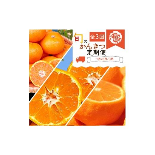 ふるさと納税 みかん・柑橘類 デコポン 和歌山県 美浜町 〈定期便〉 1・2・3月 全3回 紀州和歌山産旬のフルーツセット(みかん・不知火・せとか) | フルーツ 定…_1