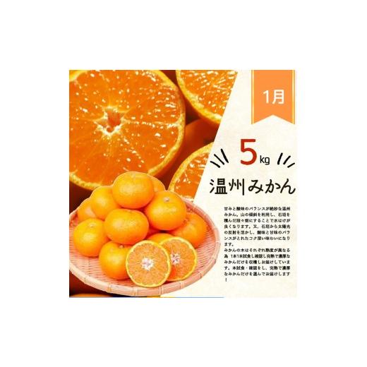 ふるさと納税 みかん・柑橘類 デコポン 和歌山県 美浜町 〈定期便〉 1・2・3月 全3回 紀州和歌山産旬のフルーツセット(みかん・不知火・せとか) | フルーツ 定…_2