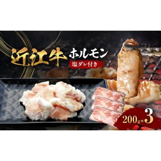 ふるさと納税 牛肉 ホルモン 滋賀県 甲良町 近江牛 ホルモン 塩だれ付き 200g×3 (真空冷凍パック入り)