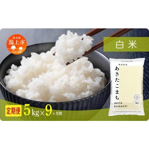 ふるさと納税 米 あきたこまち 秋田県 潟上市 [新米]定期便 米 あきたこまち 令和7年産 白米 5kg(5kg×1) × 9ヶ月 5kg袋 選べる容量 定期 5キロ 9ヶ月 9か…