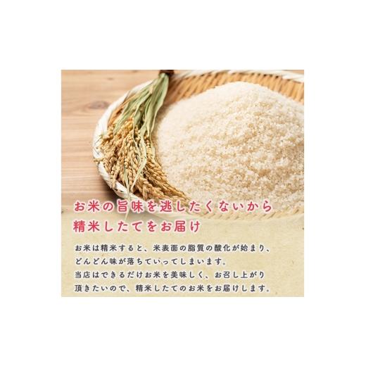 ふるさと納税 無洗米 秋田県 男鹿市 《定期便8ヶ月》令和7年産 積みたてる米 無洗米 秋田県産 あきたこまち 5kg（2.5kg×2袋） こまち生産ライン あきたこまち ブランド名…