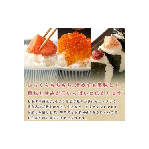 ふるさと納税 無洗米 秋田県 男鹿市 《定期便8ヶ月》令和7年産 積みたてる米 無洗米 秋田県産 あきたこまち 5kg（2.5kg×2袋） こまち生産ライン あきたこまち ブランド名…