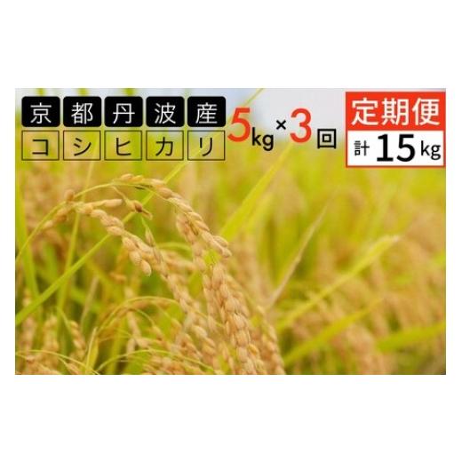 ふるさと納税 米 コシヒカリ 京都府 亀岡市 5月発送 期間限定 生活応援 定期便 令和7年産 5kg 3ヶ月 京都丹波産 コシヒカリ 白米 JA京都 たわわ朝霧 3回定期…