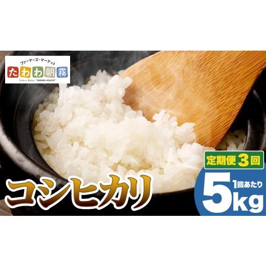 ふるさと納税 米 コシヒカリ 京都府 亀岡市 6月発送 期間限定 生活応援 定期便 令和7年産 5kg 3ヶ月 京都丹波産 コシヒカリ 白米 JA京都 たわわ朝霧 3回定期…