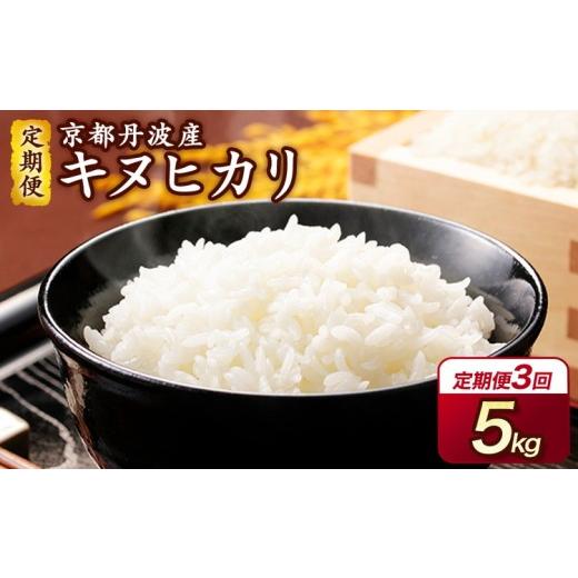 ふるさと納税 米 京都府 亀岡市 6月発送 期間限定 生活応援 定期便 令和7年産 5kg 3ヶ月 京都丹波産 キヌヒカリ 白米 JA京都 たわわ朝霧 3回定期便 5kg×3回 …