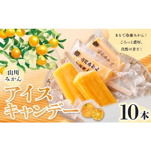 ふるさと納税 菓子 アイス 福岡県 みやま市 A319 山川みかんアイスキャンデー 100ml 10本 セット みかん アイスキャンデー アイスキャンディー フルーツ アイ…