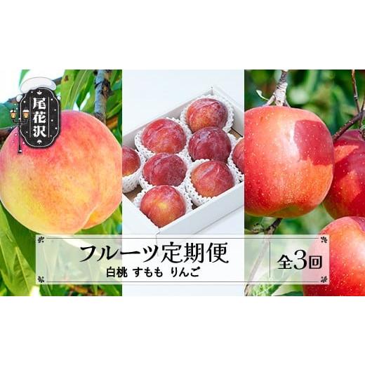 ふるさと納税 果物の詰合せ 山形県 尾花沢市 先行予約 フルーツ定期便 全3回 白桃 すもも りんご 秀品 2026年8月上旬頃~発送開始 2026年産 令和8年産 佐竹物…